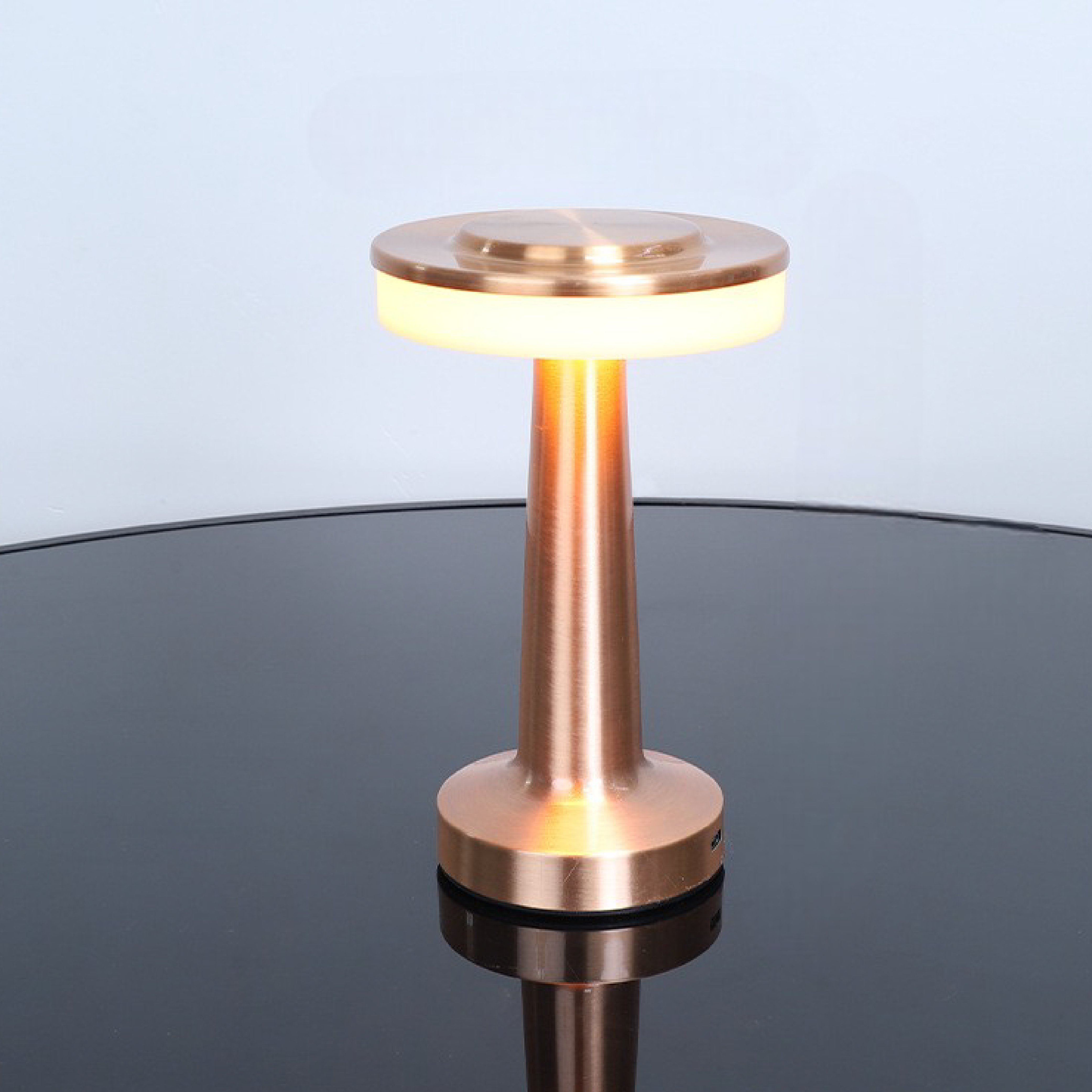 Birdona's Metall-Tischlampe